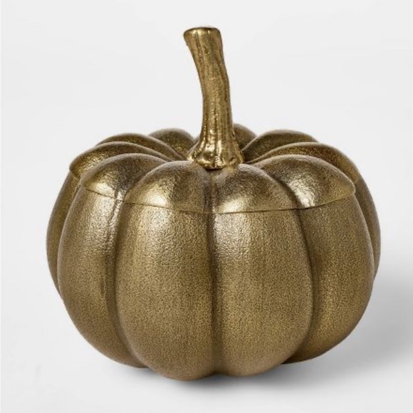Cast Metal Pumpkin Canister - Threshold™ designed with Studio McGee - Picture 1 of 4
